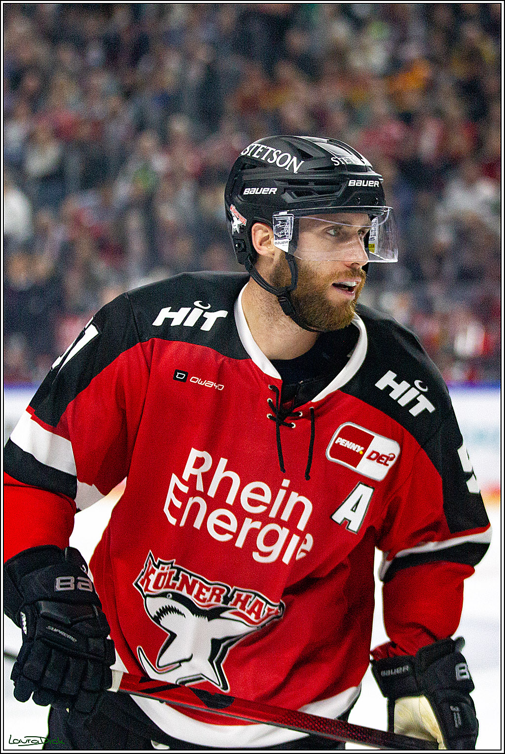 PENNY DEL;  Koelner Haie - Duesseldorfer EG; Koeln, 19.10.2021